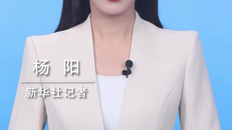 轻量级ELT工具：企业数据集成新选择**
